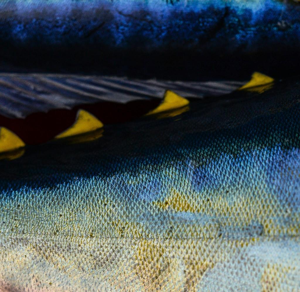 Nasty Sport Fishing Cabo — gallery 9